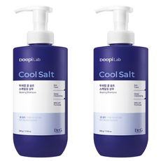 닥터지 두피랩 쿨 솔트 스케일링 기능성 샴푸, 500g, 2개