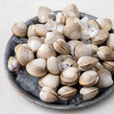 곰곰 동죽조개, 800g, 1개