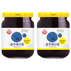 OTOKI 不倒翁 藍莓果醬, 300g, 2罐
