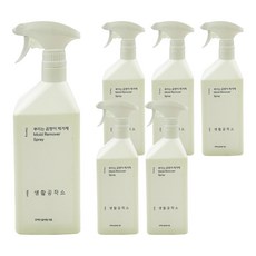 Saengong 生活工作所 噴式除霉劑 蘋果香, 750ml, 6個