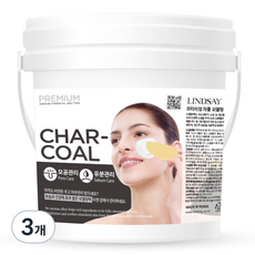 린제이 프리미엄 차콜 모델링팩 820g, 1개입, 3개