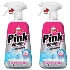 홈스타 핑크파워 욕실 찌든때 클리너, 2개, 750ml