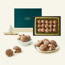 프리미엄 생화고버섯 선물세트 600g, 1세트