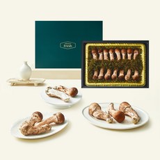 프리미엄 생참송이버섯 선물세트 700g, 1세트