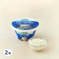 브리미 리코타 치즈, 250g, 1개입, 2개