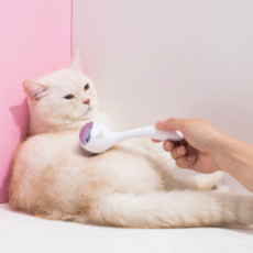 April 16 寵物貓耳造型美容梳, 白色, 1個