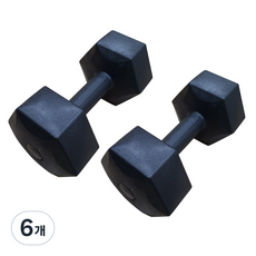 대한스포츠 육각아령, 5kg, 6개