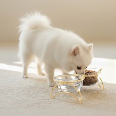 레토 강아지 밥그릇 고양이 물그릇 유리식기 세트, 골드, 1세트