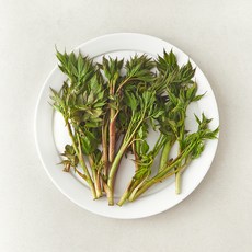 국내산 눈개승마 삼나물, 1개, 150g