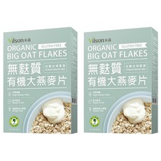 Vilson 米森 有機無麩質大燕麥片, 全穀高纖, 方便沖泡, 口感綿密, 450g, 2盒