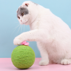 JHcompany仙人掌繩子貓咪抓球, 混色, 1個