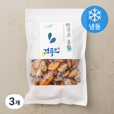 남해안 반건조 홍합 (냉동), 300g, 1개입, 3개