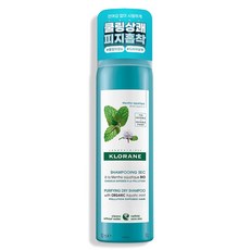 클로란 아쿠아민트 쿨세범 드라이샴푸, 150ml, 1개