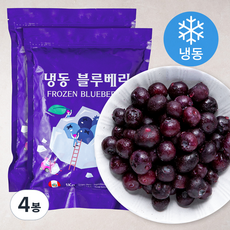 웰프레쉬 냉동 페루산 블루베리 (냉동), 1kg, 4봉