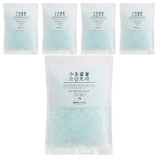 바스참 소금호사 다이아몬드 솔트 민트, 1kg, 5개