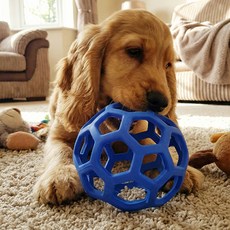 세이코코아 홀리롤러 강아지 장난감, 블루, 2개
