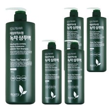 모에타 어성초 자소엽 녹차 샴푸액 지성 두피용, 1kg, 5개