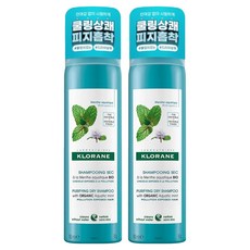 클로란 아쿠아민트 쿨세범 드라이샴푸, 150ml, 2개