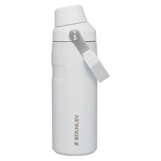 스탠리 아이스플로우 에어로라이트 패스트플로우 텀블러, 프로스트화이트, 473ml, 1개