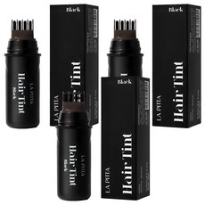 라피타 새치커버 타투 헤어틴트 10ml, 블랙, 3개