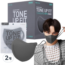 참존 톤업핏 스탠다드 황사방역용 KF94 마스크 대형, 그레이, 2개, 50개입