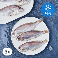 통영원 국내산 손질 백조기 (냉동), 3개, 700g(5미)