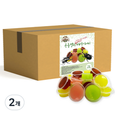 펫츠핸들러 장수풍뎅이 사슴벌레 곤충젤리 버라이어티 16g 640p, 혼합색상, 2개