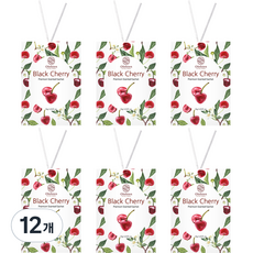 Olebien 香氛袋 主商品, 12個, 10g, 水果/熱帶水果香