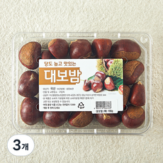 아산율림영농조합 대보밤 특, 3개, 700g