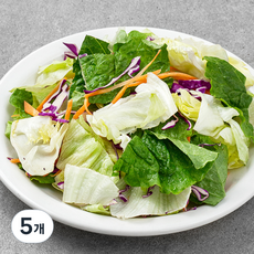 롯데푸드 믹스 4종 샐러드, 800g, 5개