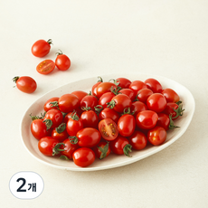 곰곰 친환경 인증 미니 대추 방울 토마토, 2개, 1kg