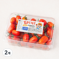 달콤한농부 스테비아 대추 방울 토마토, 1kg, 2팩
