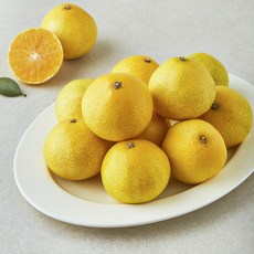 곰곰 국내산 꼬마 황금향, 1.2kg(꼬마과), 1개