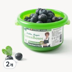 데비마이어 홈콜렉션 그린볼, 2개, 270ml