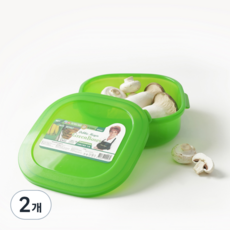 데비마이어 홈콜렉션 쥬니어 패밀리박스 정사각, 2개, 1.4L