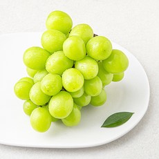 곰곰 비파괴 당도선별 샤인머스캣, 500g, 1개