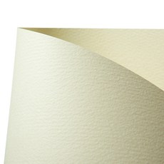 DOOSUNG PAPER 彩色美人魚紙A4 178g 大包裝 W42 米白色, 100個