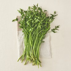 국내산 친환경 미나리, 200g, 1개