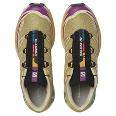 SALOMON XT-6 Gore-Tex Antique Gold 機能山系 男款慢跑登山鞋