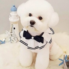 pecanori Cape M的寵物, 海軍, 1個