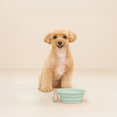 레토 반려동물 휴대용 접이식 실리콘 식기, 그린, 1개