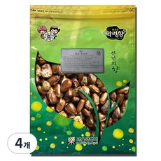 천지가약초 볶은 옥수수차, 1kg, 1개, 4개