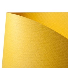 DOOSUNG PAPER 彩色人魚紙A4 178g Jumbo W10 深黃色, 100個