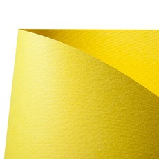 DOOSUNG PAPER Color Mermaid A4 178g Jumbo W11 黃色, 100個