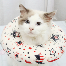 Alluppet 甜甜圈靠墊可愛周長寵物頸項美星 M, 1個