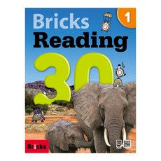 Reading 30, 1, Bricks