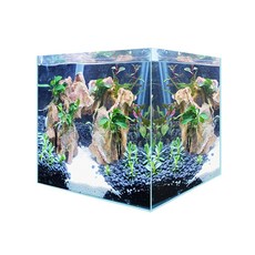 Rora Pet 頂級高透光魚缸