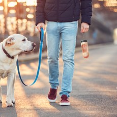 Babion 寵物膠囊水瓶 300S, 黃色, 1個