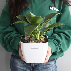 MORIANN 可知澆水時機的方形刻度花盆, 白色