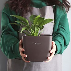 모리앤 물주는 시기를 알수있는 플랜트 눈금화분 사각, 브라운, 1개